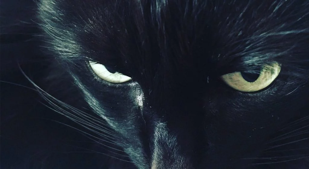 Blog de luto Filtro Grayscale