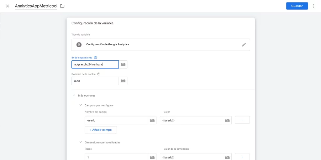 variable userId Tag Manager